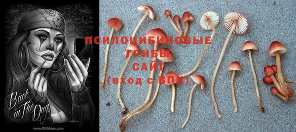 MESCALINE Беломорск