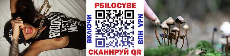 Галлюциногенные грибы мицелий  Купить  Новосиль 